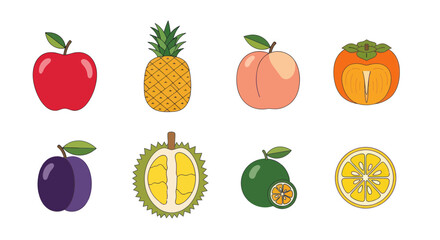 Colorful assortment of fresh fruit illustrations isolated on white background
