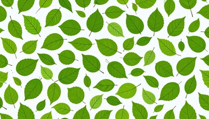 Green leaves pattern with white background.