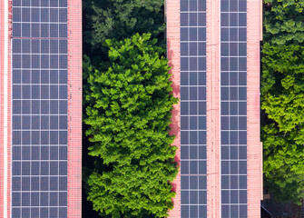 Rooftop Solar Panels and Green Trees Aerial View