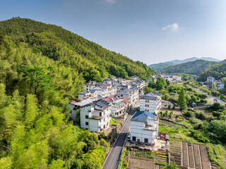 A village nestled in the mountains, surrounded by lush bamboo forests.