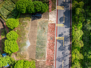 A winding mountain road through a bamboo forest.