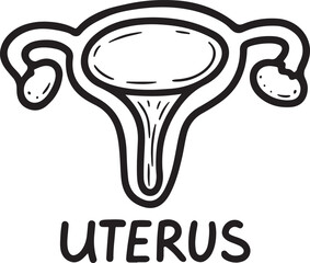 Human uterus. Hand drawn doodle. Female reproductive organ for embryo development. Child bearing black and white