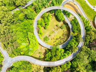 A circular walking path in the park