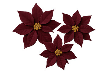 Naklejka premium Three burgundy poinsettia flowers for christmas decoration