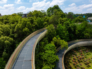 A circular walking path in the park