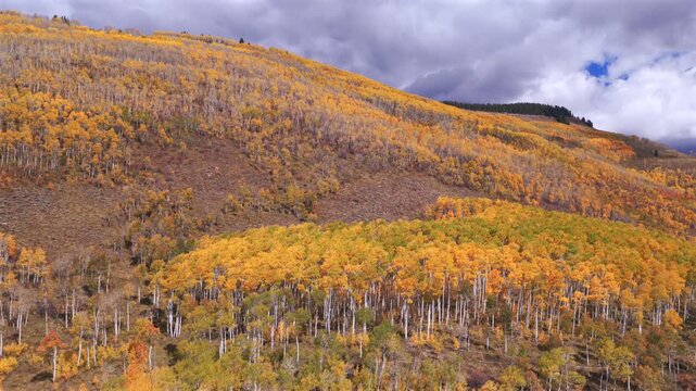 Vail Valley Vail Village Avon Beaver Creek Vail Pass aerial drone Colorado fall autumn Rocky Mountains hillside cliffs quaking Aspen Trees morning blue sky cliffs Piney Ranch circle left motion