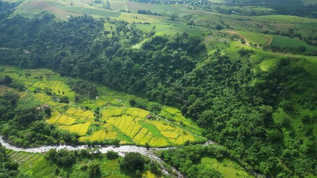 A wide elevated aerial shot of a rice paddies as a river flows beside it, all sitting in a valley near Quinawan beach in Mariveles Bataan, Philippines