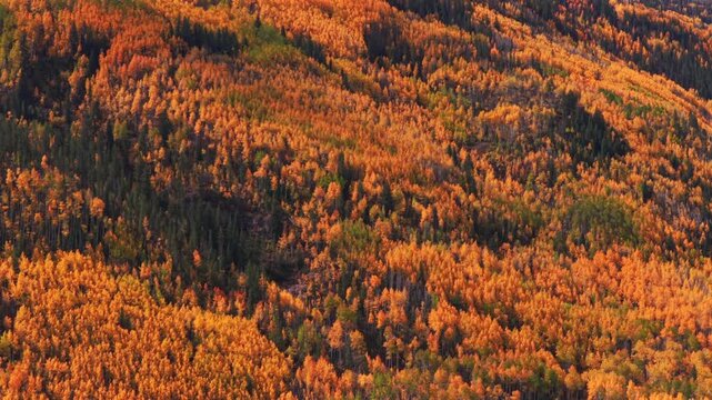 Vail Valley Vail Village Ski Resort trails Avon aerial drone Colorado fall autumn Rocky Mountains hillside cliffs quaking Aspen Trees morning blue sky cliffs Piney Ranch circle right pan up motion