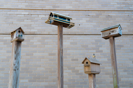 Wooden birdhouses on tall posts against a brick wall