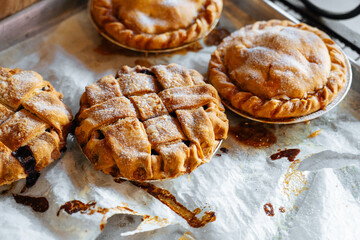 Homemade mini pies with golden crust