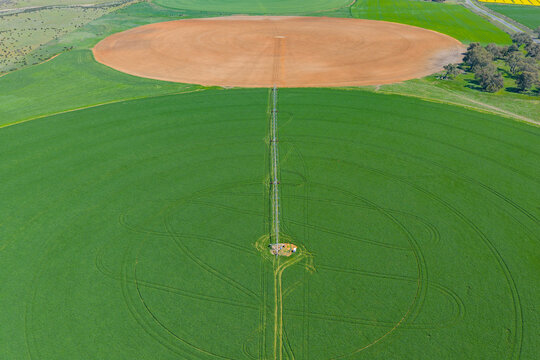 Irrigation sprinkler on a circular green crops on farmland