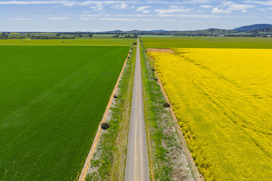 Colorful crops on both sides of a country road