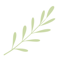 branch with green leaves isolated