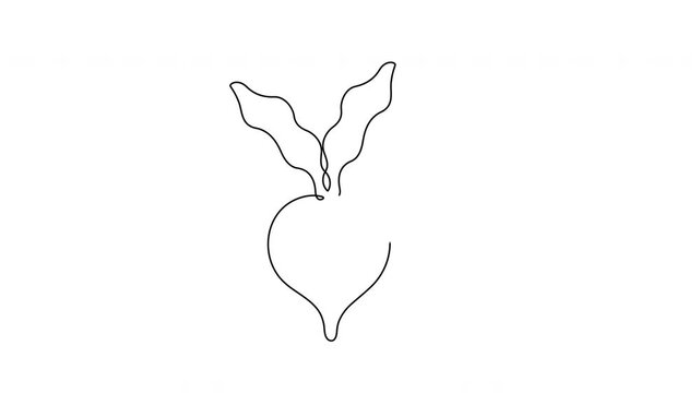 Continuous Line Beetroot Drawing Animation