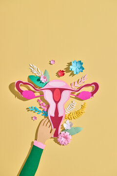 A detailed paper cutout of a uterus, accented with floral elements