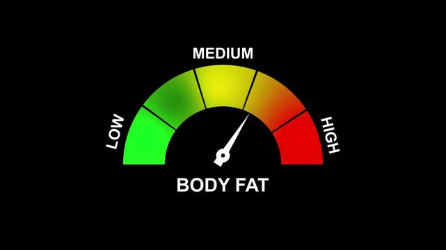 Body fat percentage indicator gauge showing medium reading, 4K motion animation on a transparent background alpha channel.