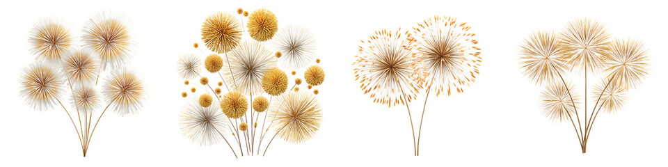 Obraz premium Golden Dandelion Seed Head Arrangements