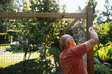 Senior man installing outdoor garden lights on a wooden fence
