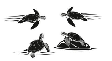 Obraz premium Sea turtles swimming and resting on rocks