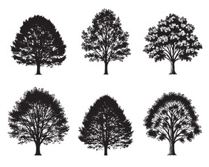 Set of black vector silhouettes of deciduous trees with leaves. Oak, maple and elm forest nature symbols isolated on white background.
