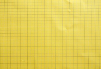 Close-up of aged, yellowed graph paper with faint grid lines, showing texture and creases,  illustration,  journal