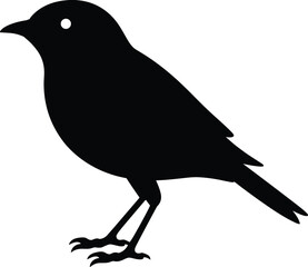Black bird silhouette illustration with simple shape design, wildlife songbird graphic icon for nature artwork, vector element for creativity