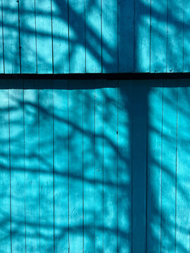 Blue wall with tree shadows