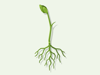 Germinating Seedling Illustration A Fresh Start in Green and White