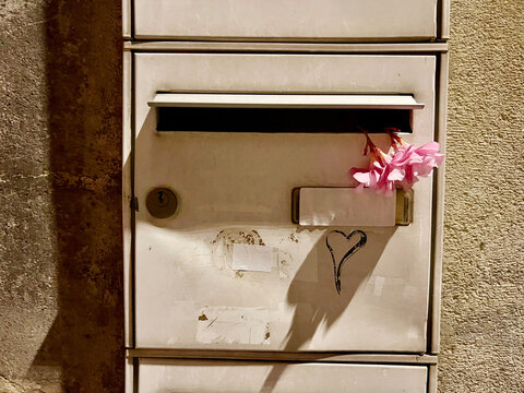 Pink flowers in mailbox with heart graffiti