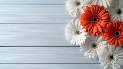Overhead shot of vibrant orange and white gerbera daisies arranged on a light blue wooden surface, creating a cheerful and colorful composition.