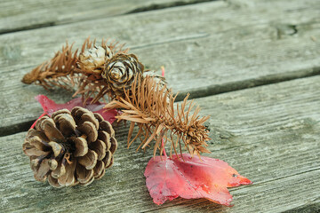Pine cones and red autumn leaves on a wooden background.