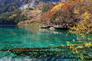 Fototapeta premium Beautiful scenery of Five Flowers Lake at Jiuzaigou national park, Sichuan China in autumn season. Famous travelling destination 