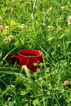 Red Cup of Tea in Lush Green Grass in Summer