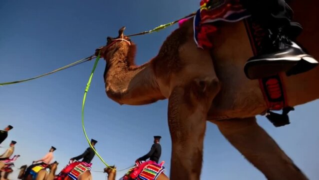 . BSF camel contingent marching in perfect symmetry, cinematic motion tracking
