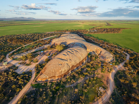 Pildappa Rock. Shaped like a large lizard. Eyre Peninsula. Australia.