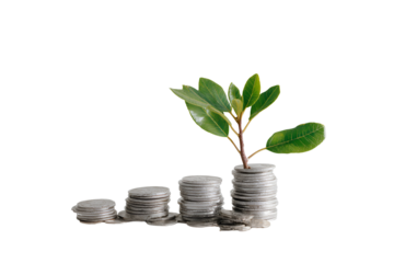 Green plant growing from stack of coins symbolizing financial growth and investment success