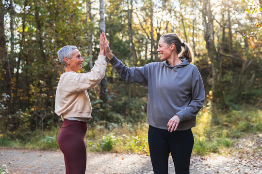 Friends Celebrating with a High-Five During a Forest Hike