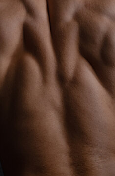 Muscular Back With Defined Contours Showcasing Strength and Fitness