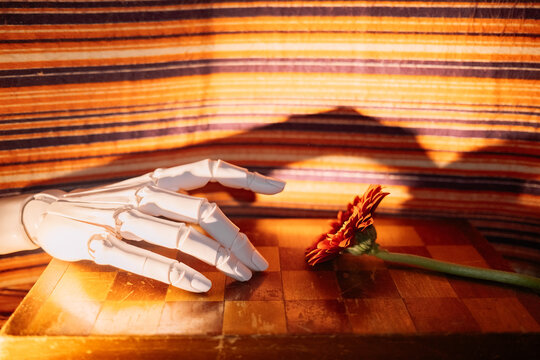 Hand reaching for a flower on a wooden surface