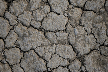 Dry cracked earth surface showing signs of drought