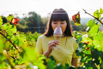 Mature woman smelling white wine in vineyard