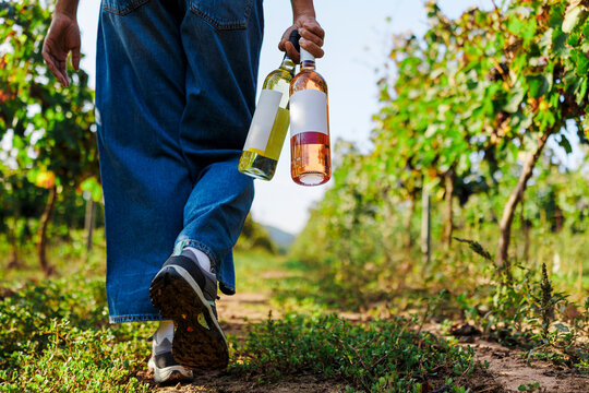 Woman walking through vineyard holding wine bottles