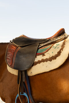 Horse with saddle