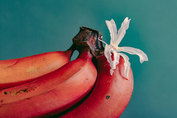 Ripe bananas with a flower on blue