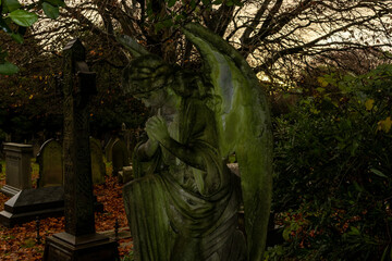 Weathered angel statue in an old graveyard
