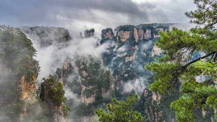 Beautiful mountain landscape. The high cliffs pillars are shrouded in fog. Peaks in the clouds. There is green vegetation on the steep slopes of rocks. Branches of coniferous trees in the foreground. 