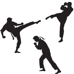 Three martial artists in silhouette performing kicks and stances