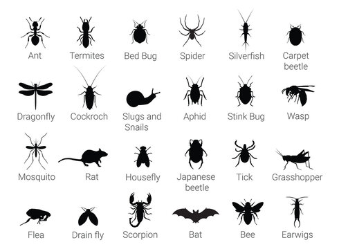 Collection of Pest Insect Silhouettes for Pest Control Services