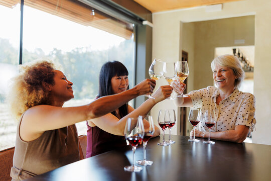 Diverse women friends toasting wine during tasting at winery