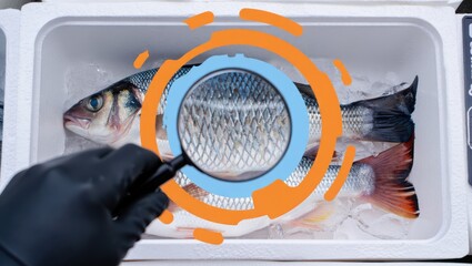 Close up of fresh fish scales being examined with a magnifying glass